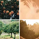 펜션 Rustic Charm For Groups At Orange Grove Farm *
