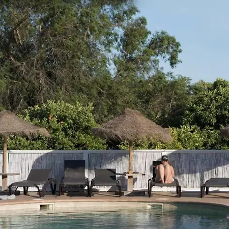 Rustic Charm For Groups At Orange Grove Farm Hébergement de vacances