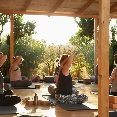 Hébergement de vacances Rustic Charm For Groups At Orange Grove Farm