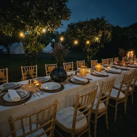 Ferienhaus Rustic Charm For Groups At Orange Grove Farm