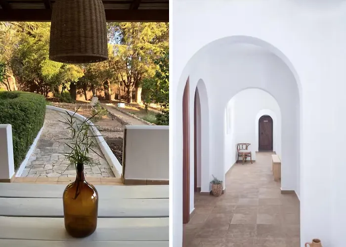 Rustic Charm For Groups At Orange Grove Farm Ferienhaus *