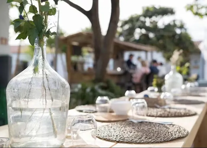 Rustic Charm For Groups At Orange Grove Farm Ferienhaus