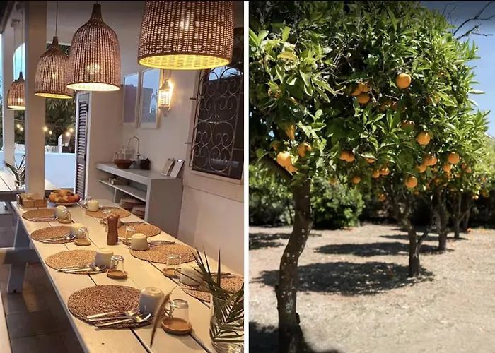 Rustic Charm For Groups At Orange Grove Farm Ferienhaus *