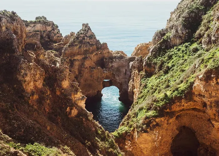 Rustic Charm For Groups At Orange Grove Farm Ferienhaus *