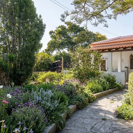 Vakantiehuis Rustic Charm For Groups At Orange Grove Farm