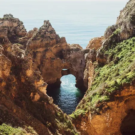 Rustic Charm For Groups At Orange Grove Farm Дом отдыха *